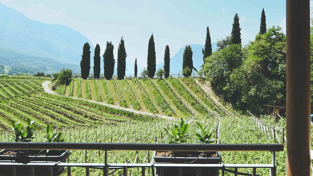 Ravina Other | Agritur Casteller