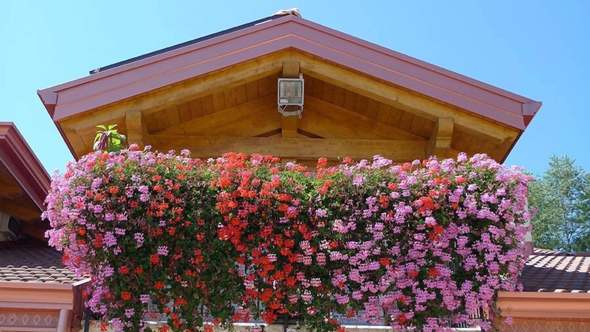 Cagno Other | Agritur Vista Lago