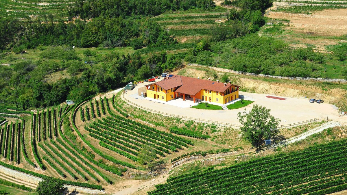 Mazzurega House | Agriturismo Acinatico Wine Relais