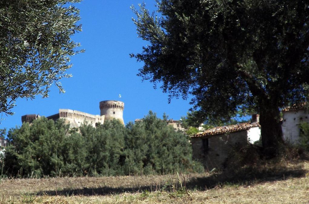 Acquaviva Picena House | Agriturismo Aqua Viva