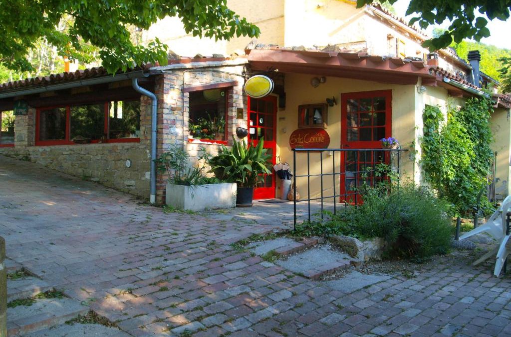 Serra San Quirico House | Agriturismo Becerca Vegan