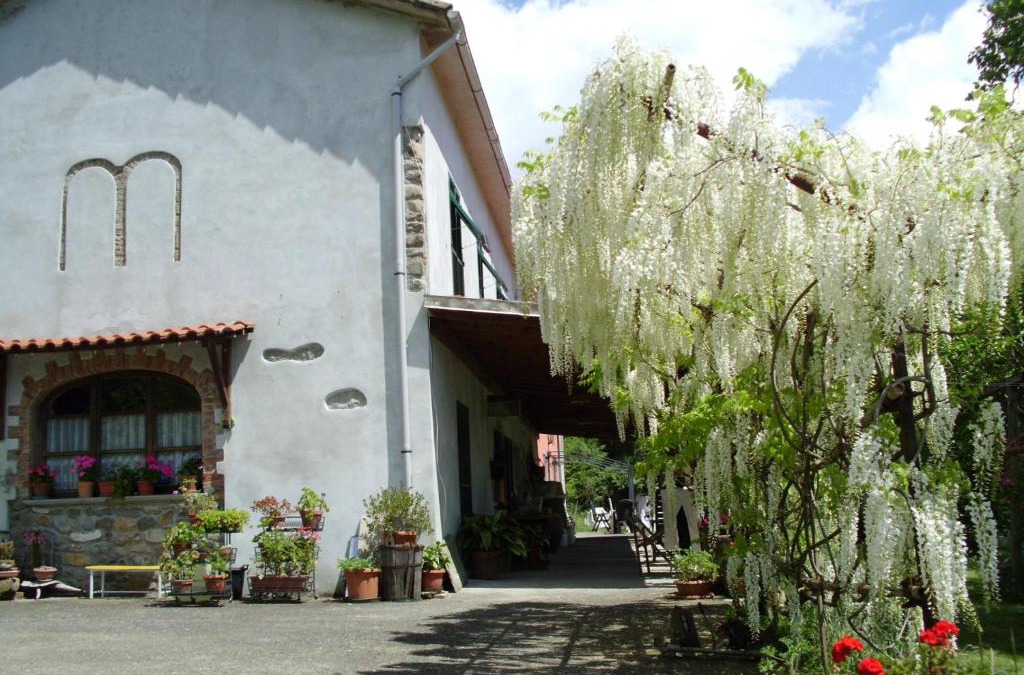 Masero House | Agriturismo Cà Rossano