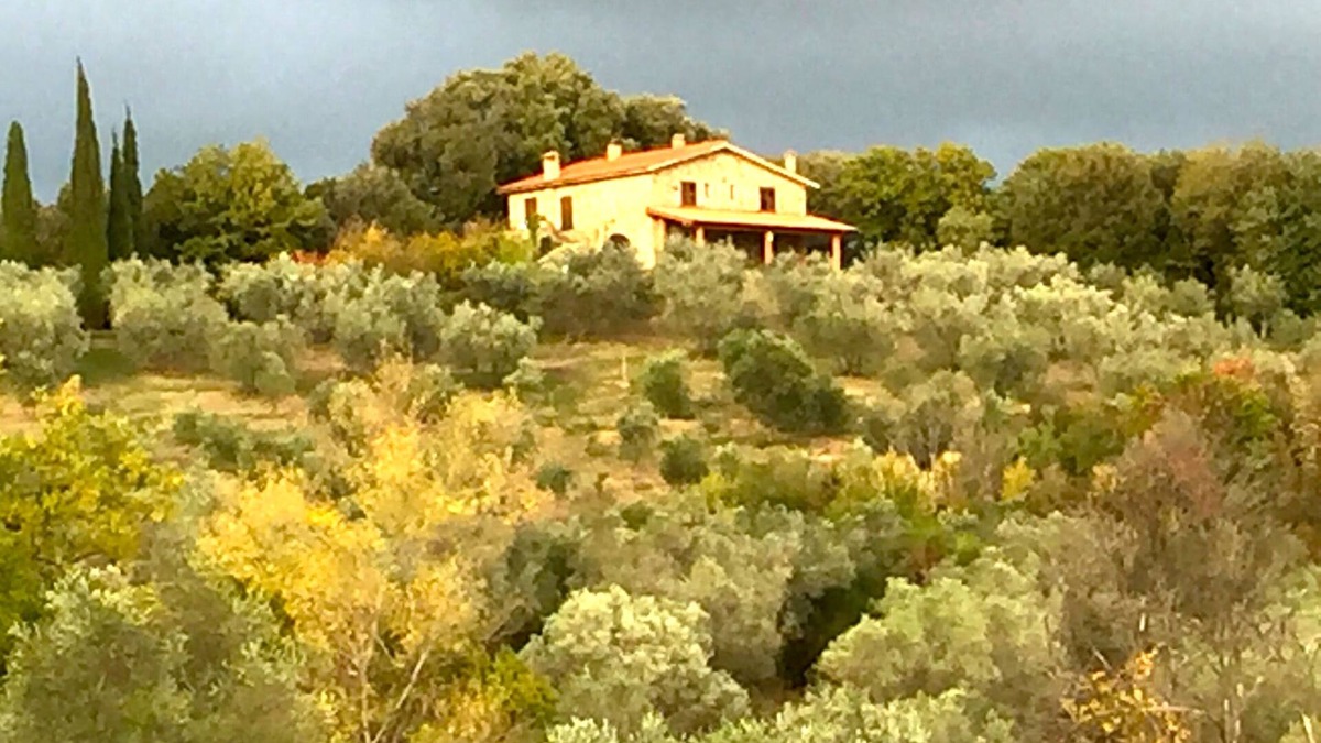 Roccastrada House | Agriturismo Campo al Crognolo.
