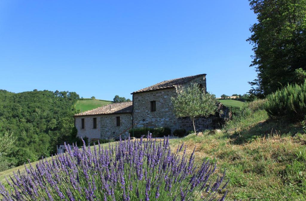 Monterosso Apartment | Agriturismo Carincone