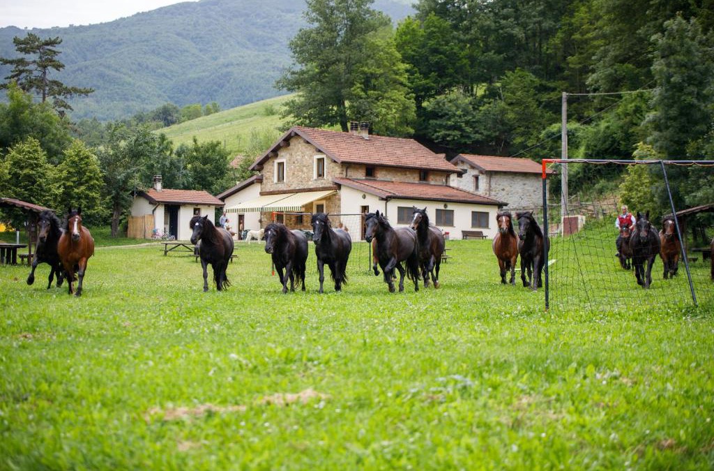 Bedonia House | Agriturismo Carovane