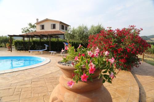 Cerveteri House | Agriturismo Casale Sasso
