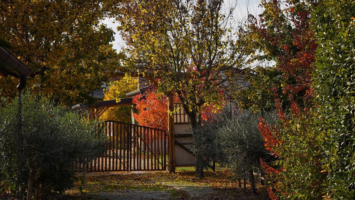 Rovigo Other | Agriturismo Corte Benetti