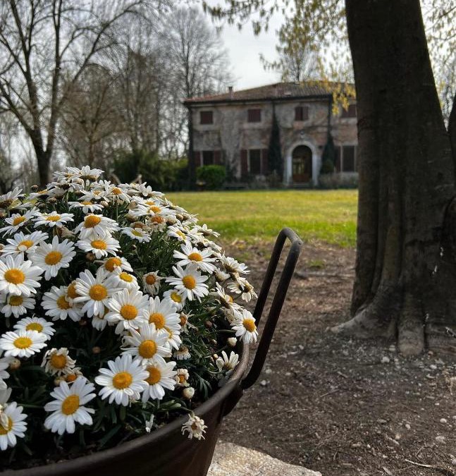 Mantua House | Agriturismo Corte San Girolamo
