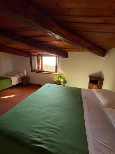 Grisolia House | Agriturismo Difesa del Monte