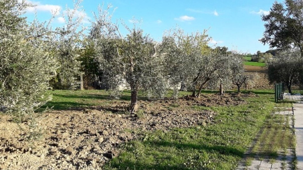 Fossombrone Other | Agriturismo El Gatarel