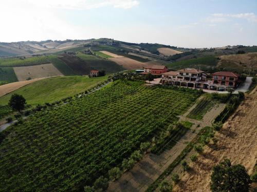 Torano Nuovo House | Agriturismo Emidio Pepe