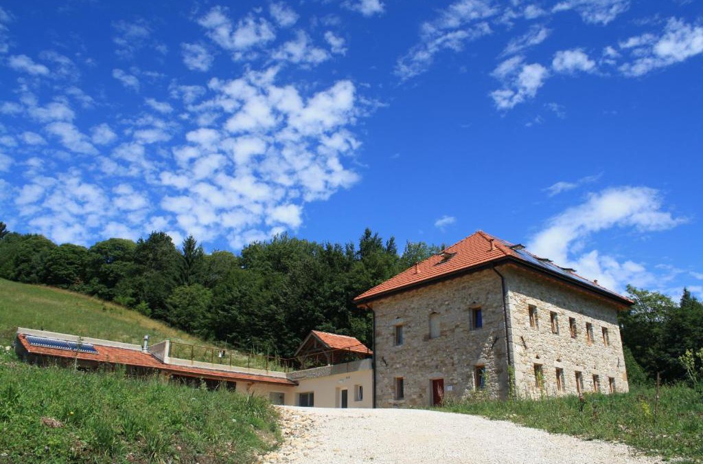 Trichiana House | Agriturismo Fattoria Ortoalpino
