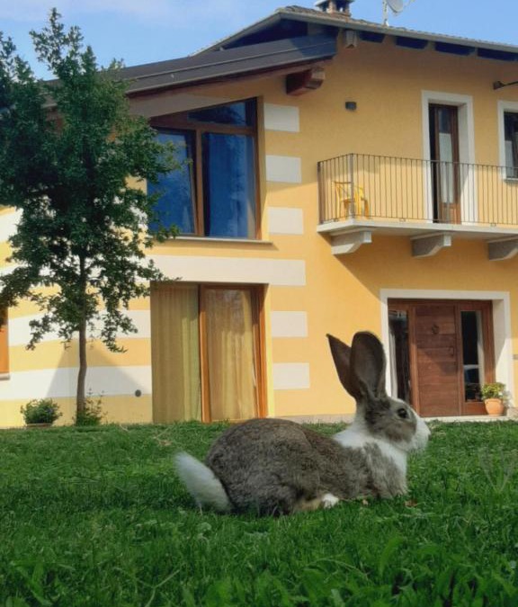 Dronero House | Agriturismo Fior Di Campo