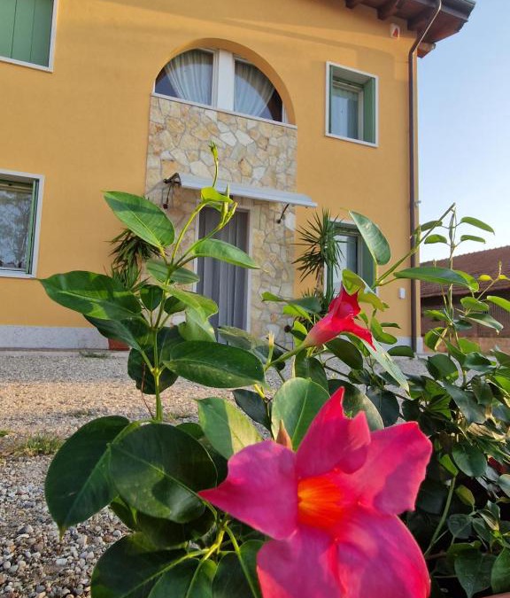Sommacampagna Bed & Breakfast | Agriturismo Fiore
