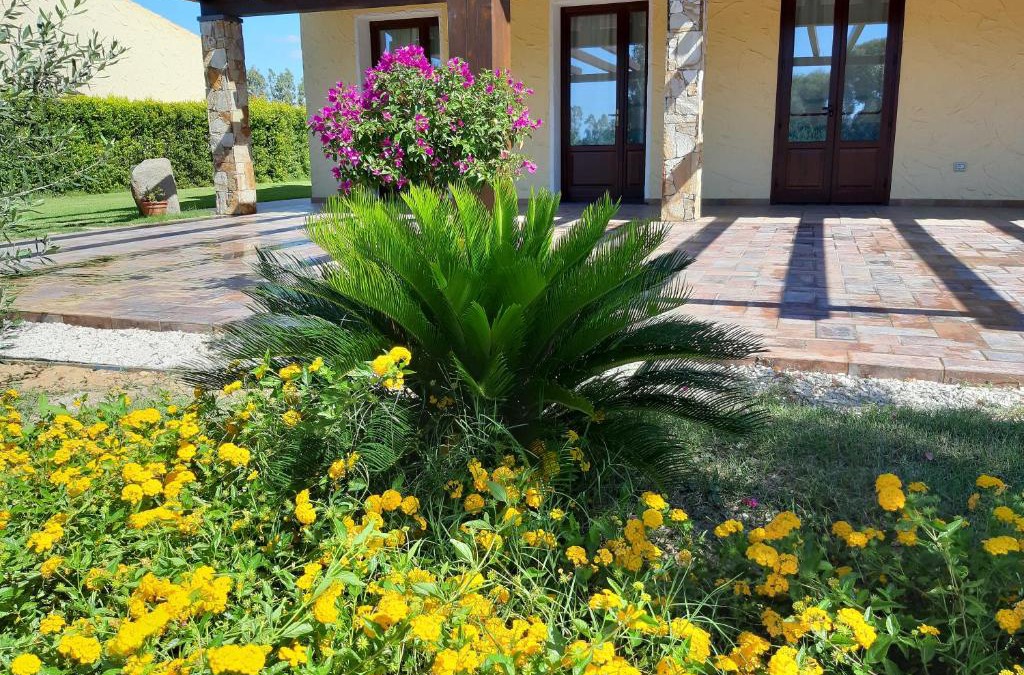 Masainas Bed & Breakfast | Agriturismo Is Solinas