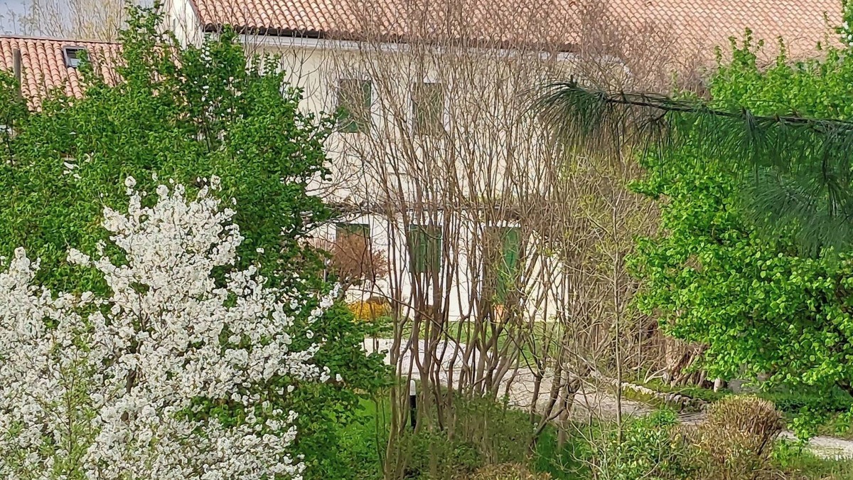 Giavera del Montello Other | AGRITURISMO L'EREMO