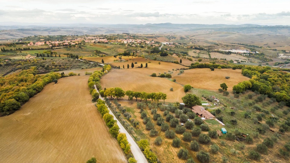 San Quirico d'Orcia Apartment | Agriturismo Cantagalli, Cedrone Apartment