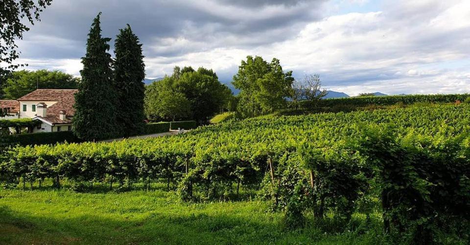 Venegazzu House | Agriturismo l'Eremo