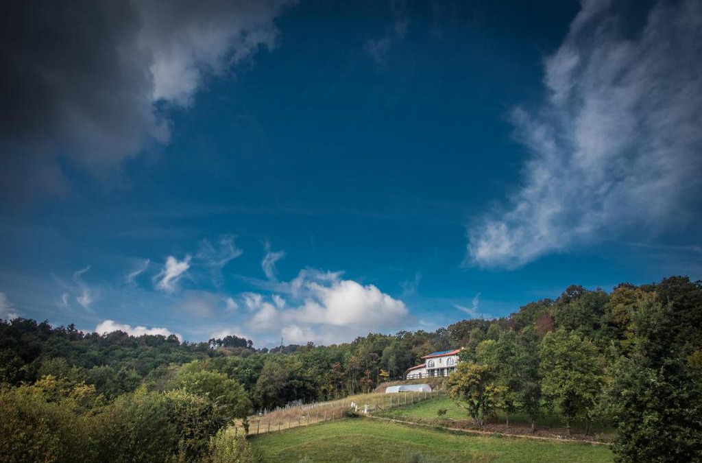 Baldissero Torinese Apartment | Agriturismo "La Collina" - 15km dal centro di Torino