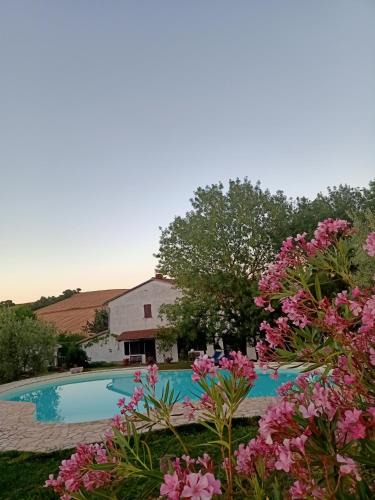 Scansano House | Agriturismo La Locandiera