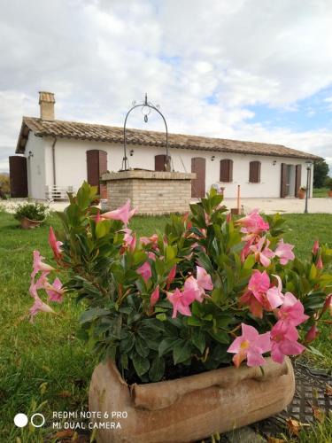 Spello House | AGRITURISMO " LE SERRE"