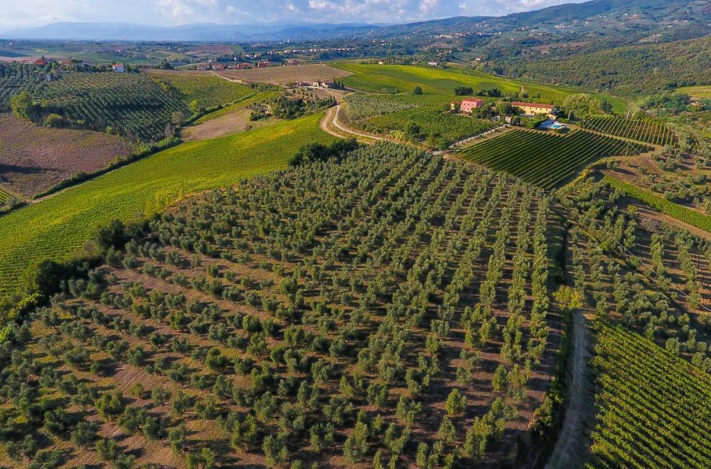 Vinci House | Agriturismo Luggiano