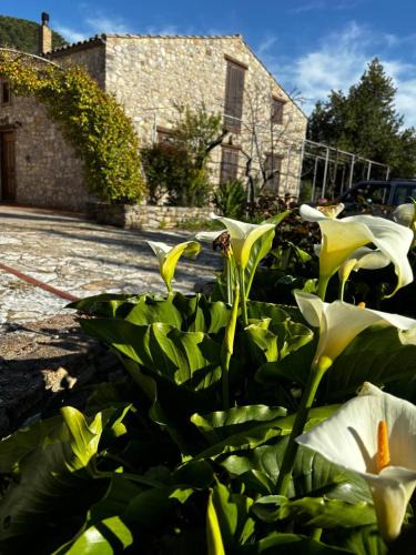 Polizzi Generosa House | Agriturismo Santa Venera