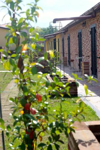 Casa Petromilli House | Agriturismo Sentiero delle Fiabe