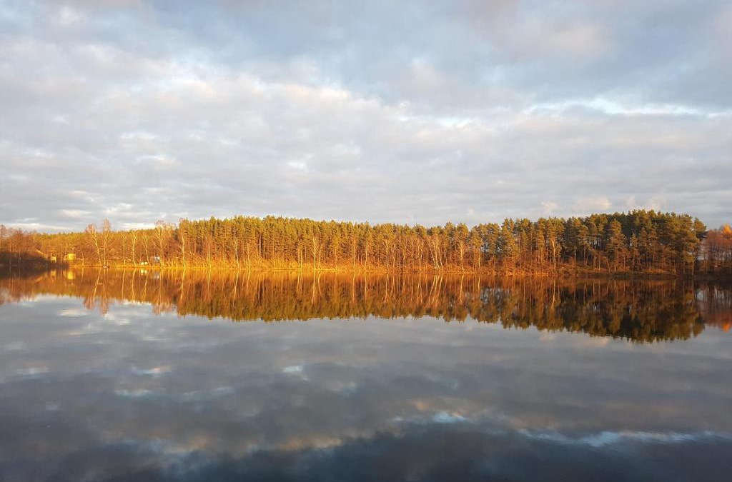 Lipusz Cabin | Agro Breza domek nad samym jeziorem- sauna ogrodowa