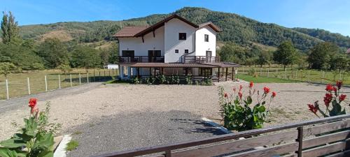 Orastioara de Sus House | AGROPENSIUNEA ZAMOLXIS