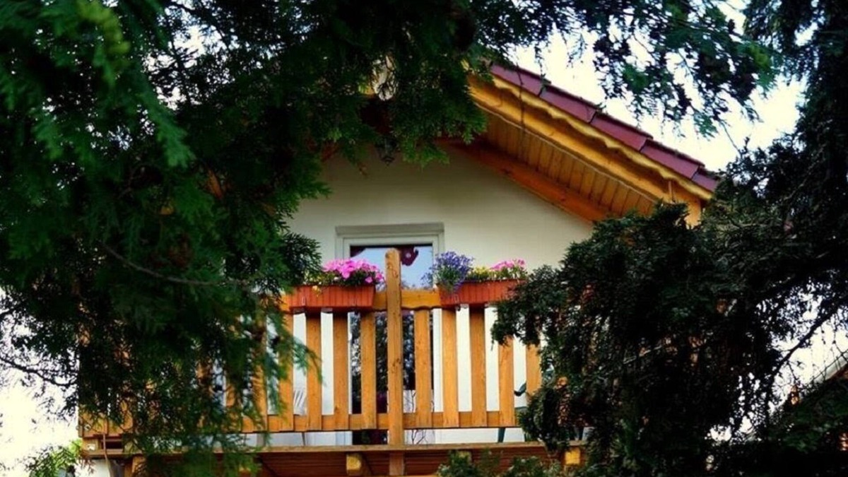 Zakrzow Other | Agroturism u Willima