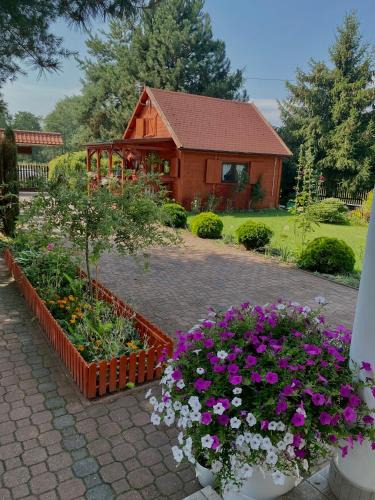 Konskie Ski Chalet | Agroturystyka Barycz Całoroczny Domek Marcel