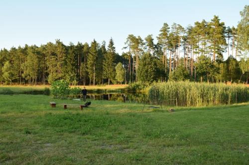 gmina Kaliska Apartment | Agroturystyka Leśna Wyspa