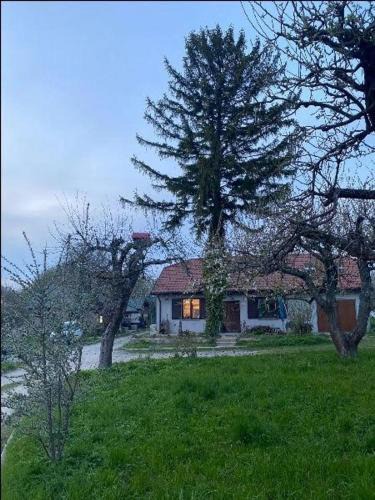 gmina Łagow House | Agroturystyka Podłazy