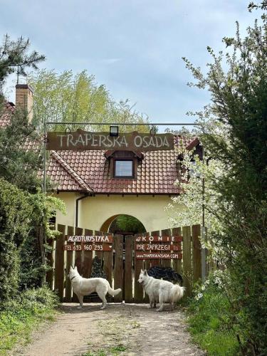 gmina Czerwonak House | Agroturystyka Traperska Osada