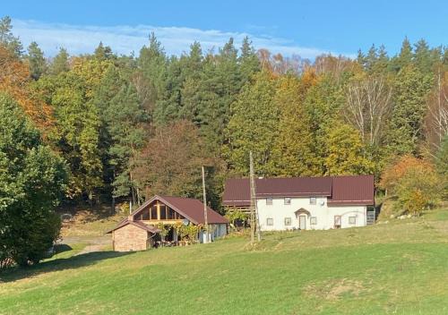 gmina Borzytuchom House | Agrowinnica