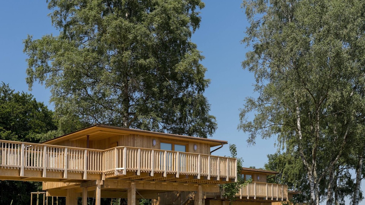 Aerzen Cabin | Ahornhöhe tree house with barrier-free access