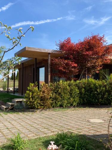 Faoug Apartment | Ahornlounge Faoug am Murtensee