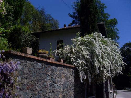 Camandona Bed & Breakfast | Ai 4 Gatti B&B