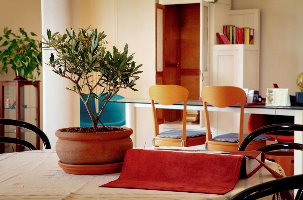 Monte Urano Bed & Breakfast | Ai Quattro Ulivi B&B