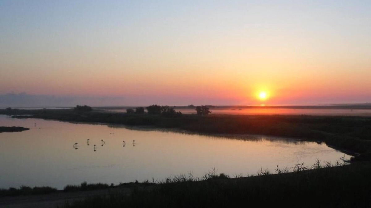Saintes-Maries-de-la-Mer House | Air-conditioned Flamingo room with pond view (free breakfast).