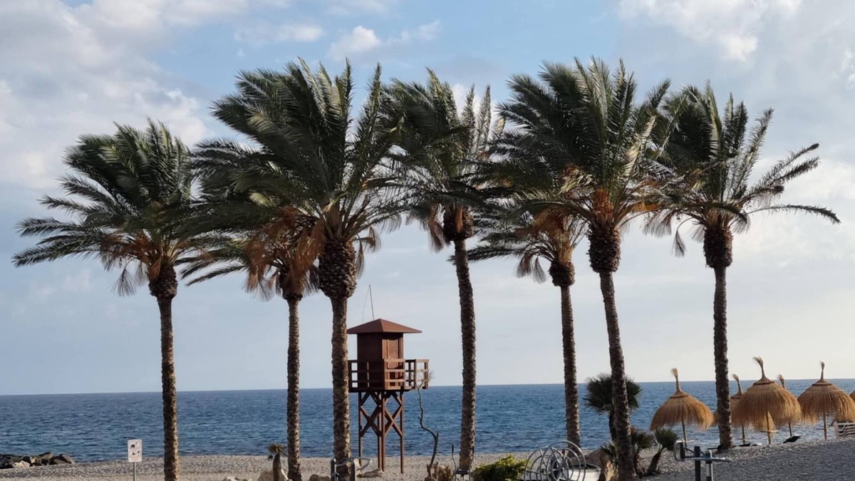 Castell de Ferro Apartment | Air-conditioned apartment 30 metres from the beach