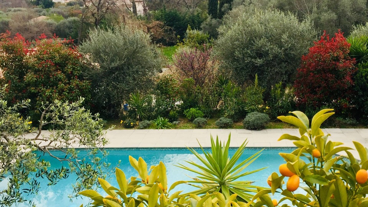 Le Rouret House | Air-conditioned artist's house 160 m2 quiet swimming pool olive trees between sea and hills