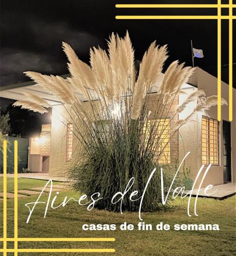 San Agustin de Valle Fertil House | Aires del Valle