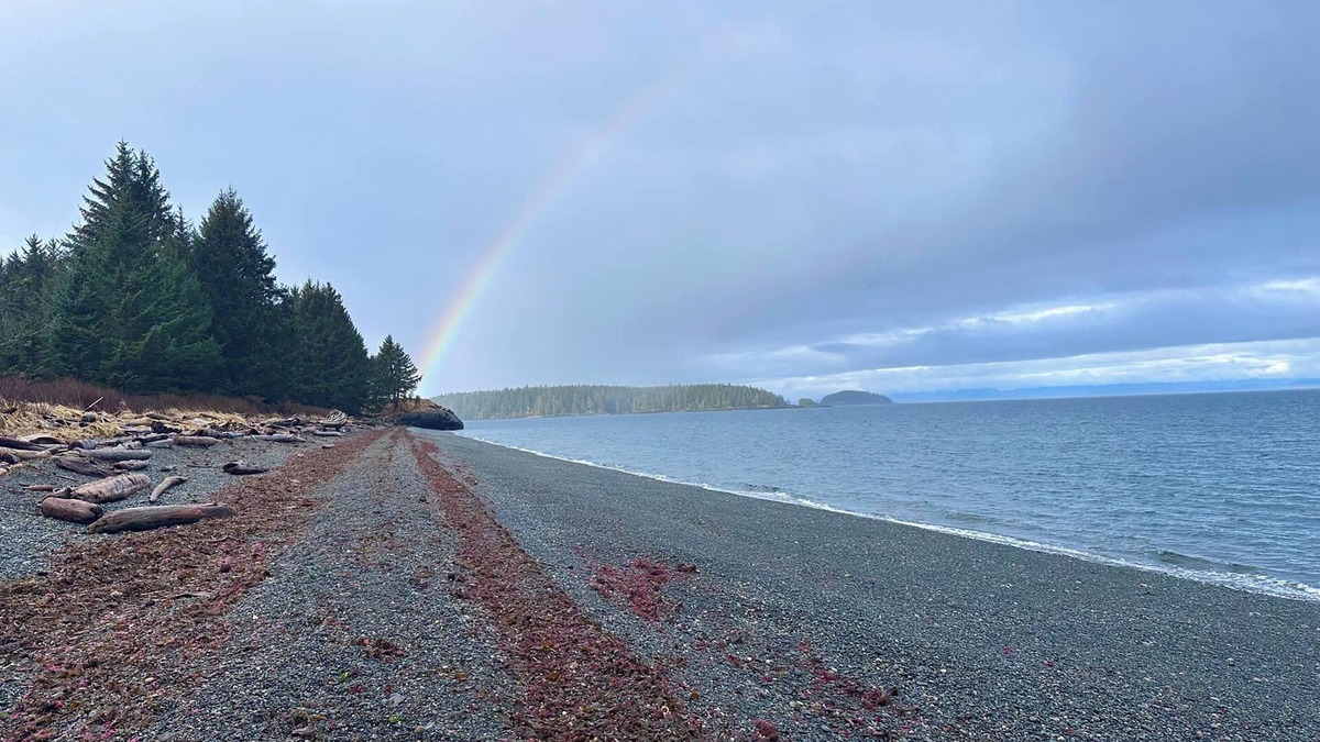 Port Hardy Hotel | Airport Inn