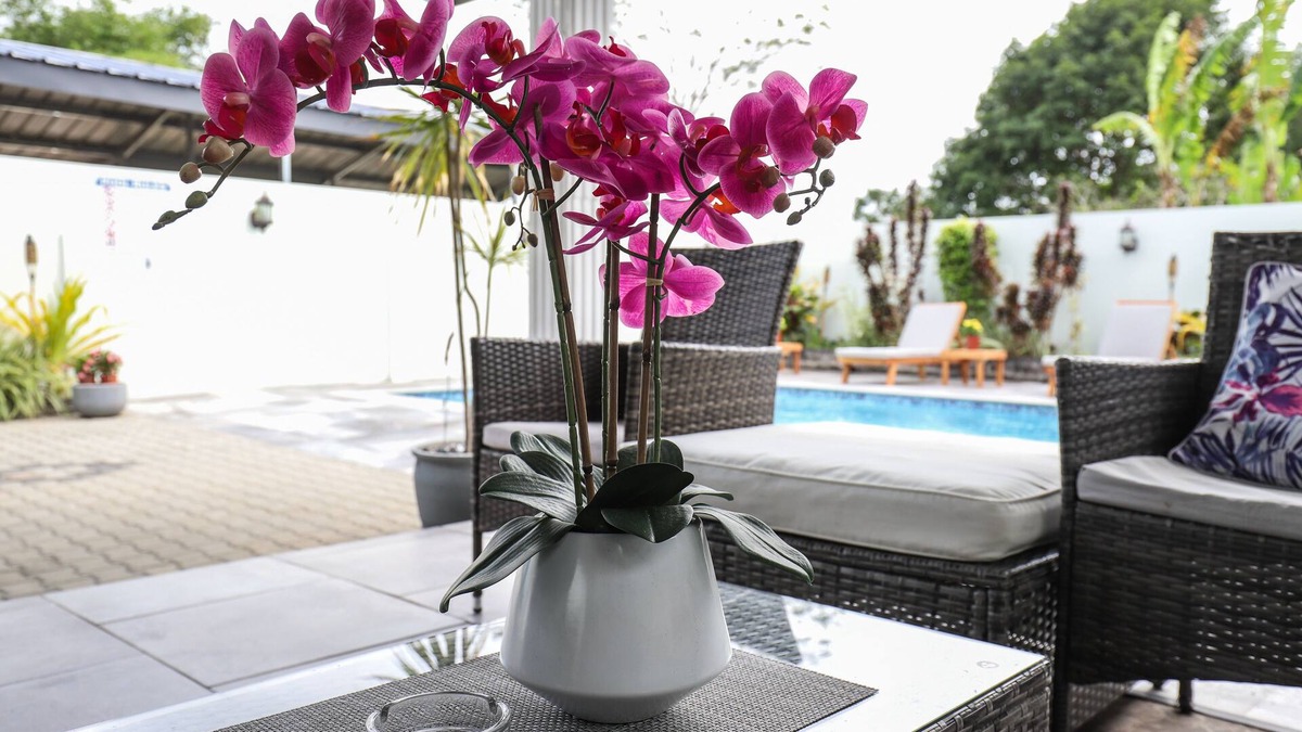 Piarco Bed & Breakfast | Airport Inn