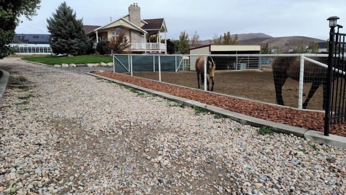 Eagle Mountain House | Airy Basement Suite - Private Entrance/Parking