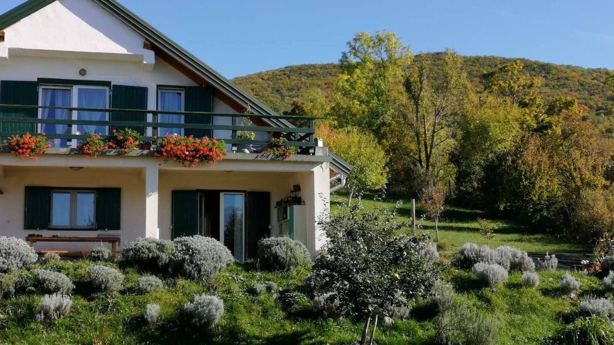 Udbina Apartment | Ajda lavander apartment in Mutilić, Croatia - 2 Bedroom Apartment