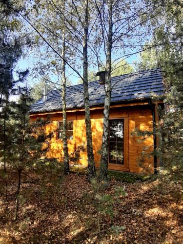 gmina Olsztyn House | Ajurweda na Jurze Agroturystyka