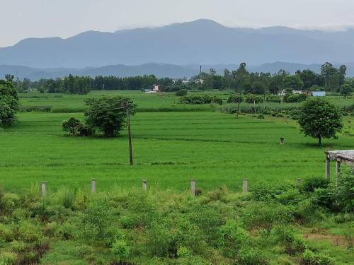 Bail Parao House | AK family Home Stay